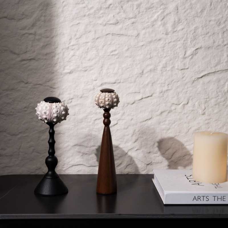 Kreative Muschel-Skulptur, han – Interior Design Exhibition Bewertung und Preis