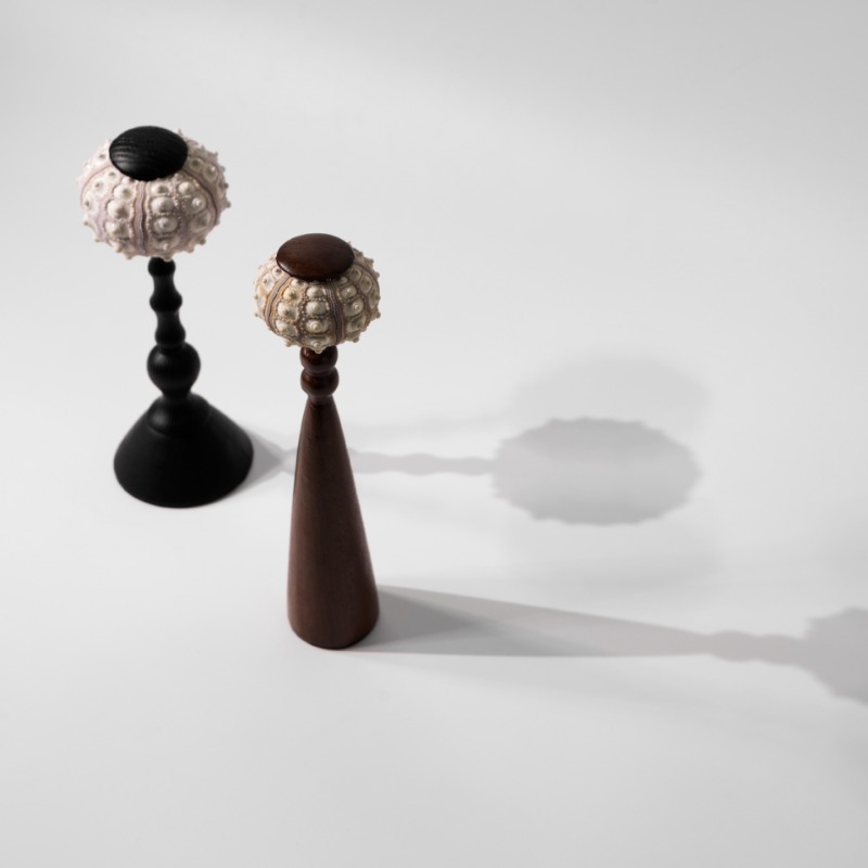 Kreative Muschel-Skulptur, han – Interior Design Exhibition Bewertung und Preis