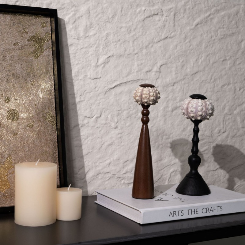 Kreative Muschel-Skulptur, han – Interior Design Exhibition Bewertung und Preis