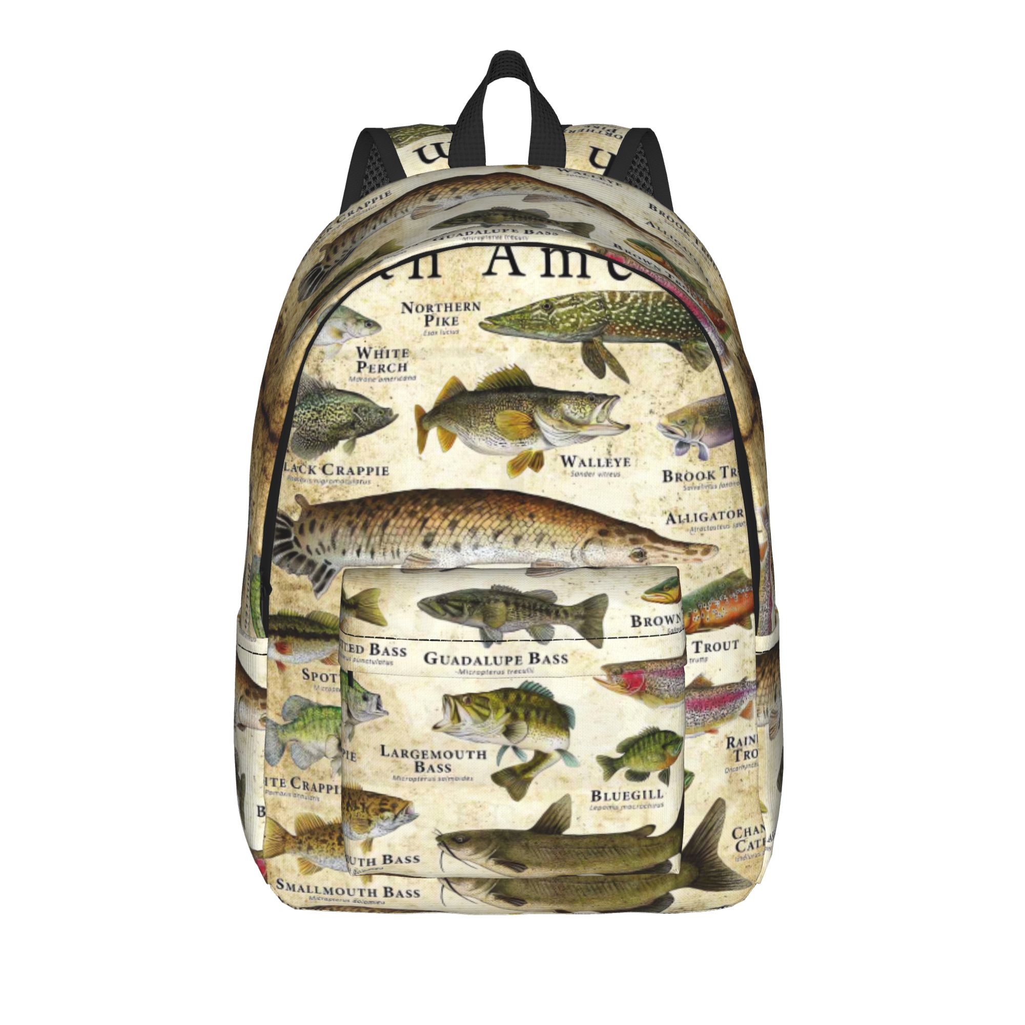Fisch-Alphabet Lehrreicher Süß – Interior Design Education Bewertung und Preis